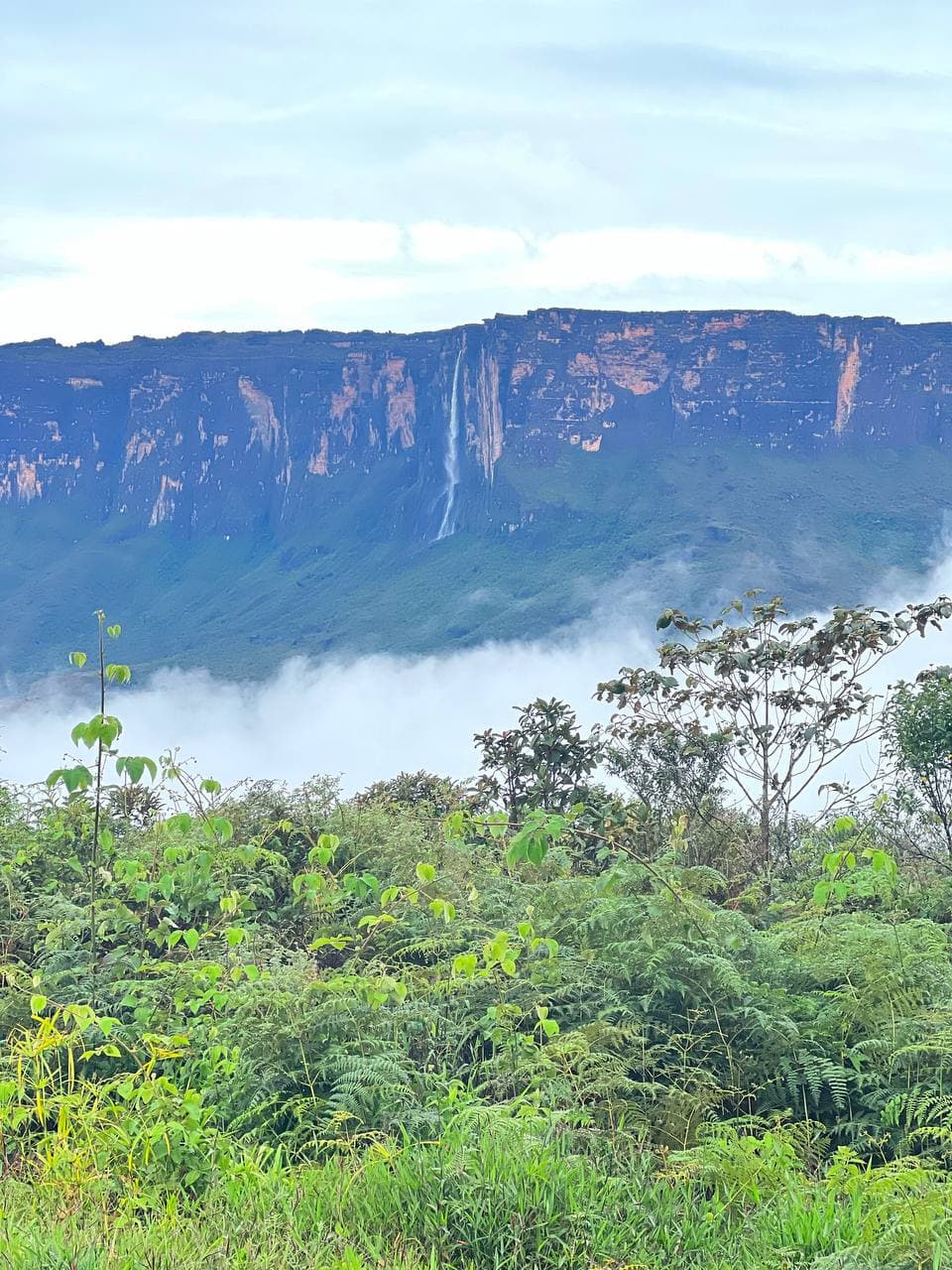 Pared de un tepuy con una cascada entre la niebla, Parque Nacional Canaima