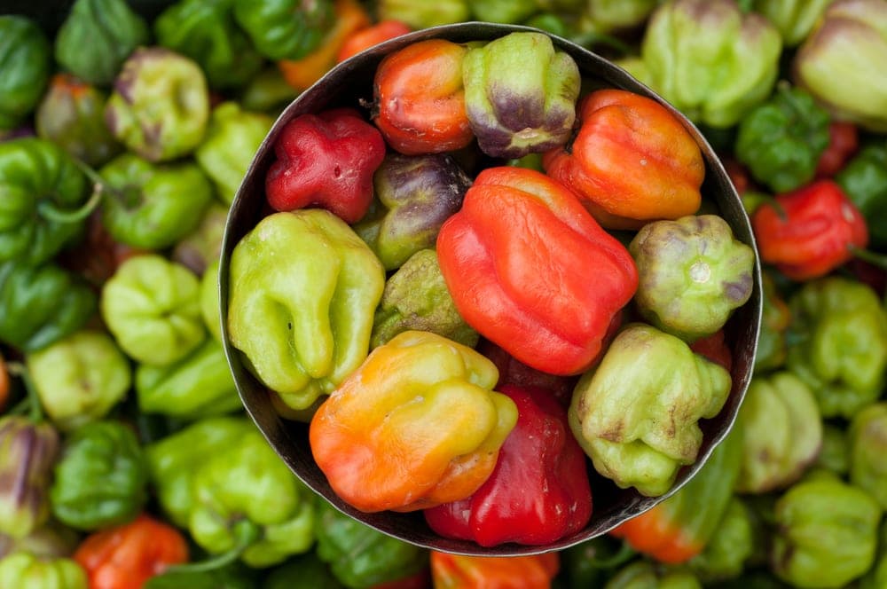 Ajíes dulces verdes, rojos y naranjas en un mercado