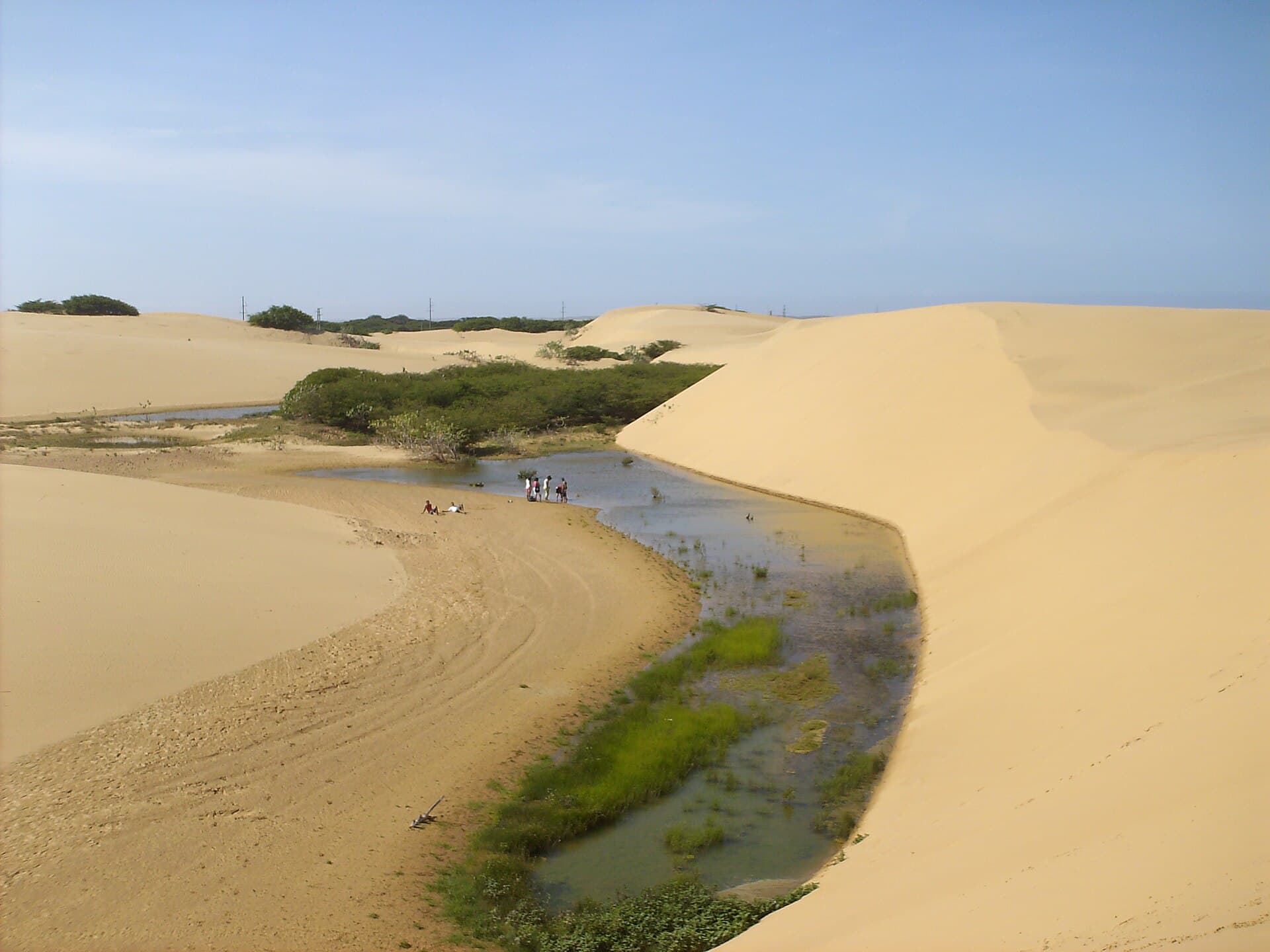 Pequeña laguna entre dunas y vegetación en los Médanos de Coro