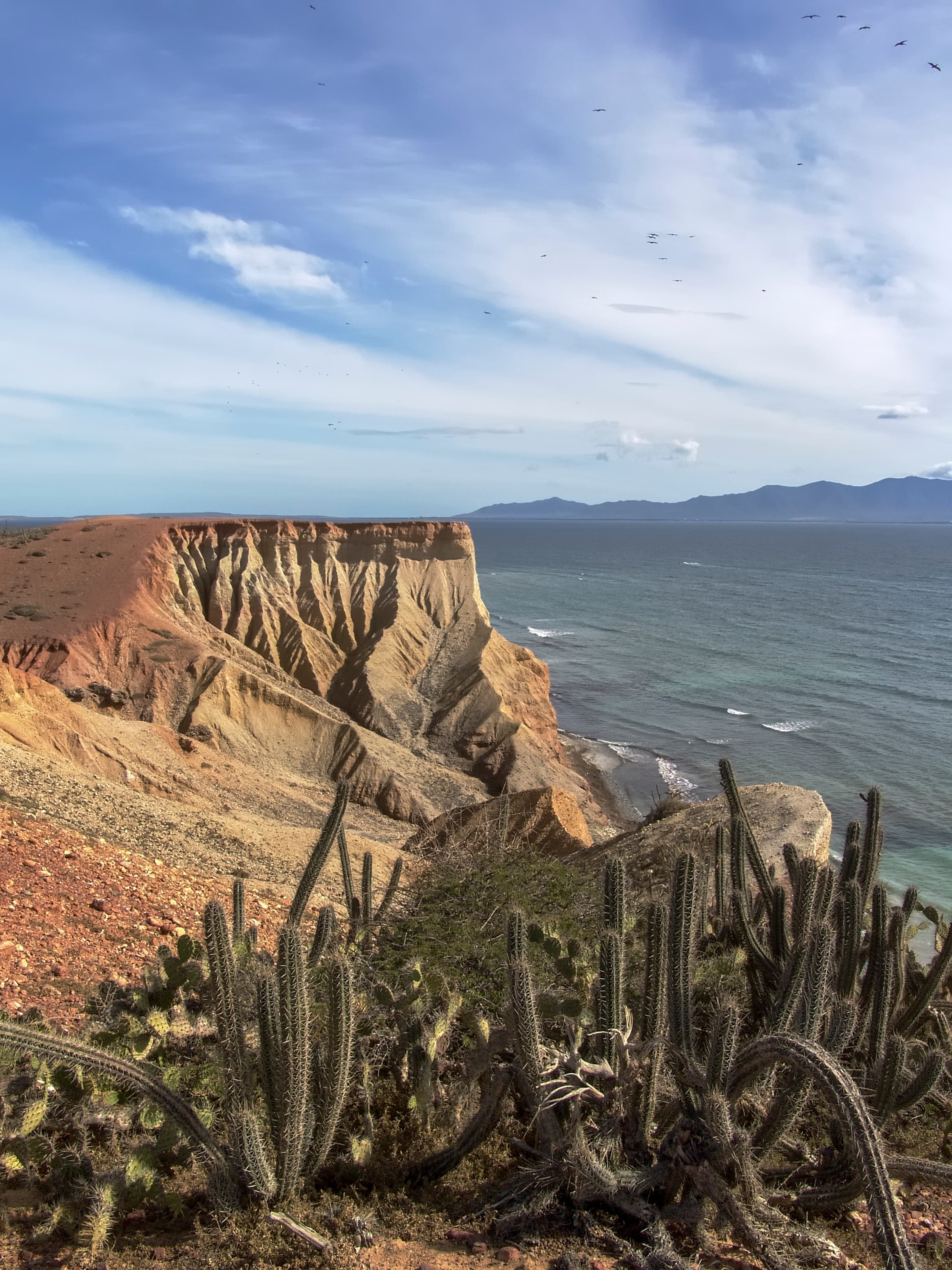 El Coco · Isla de Coche
