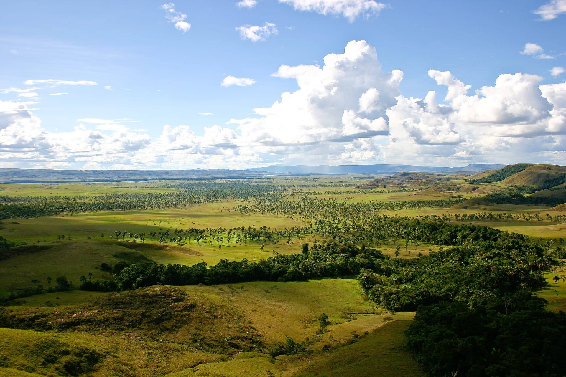 Paisaje de la Gran Sabana con tepuyes al fondo
