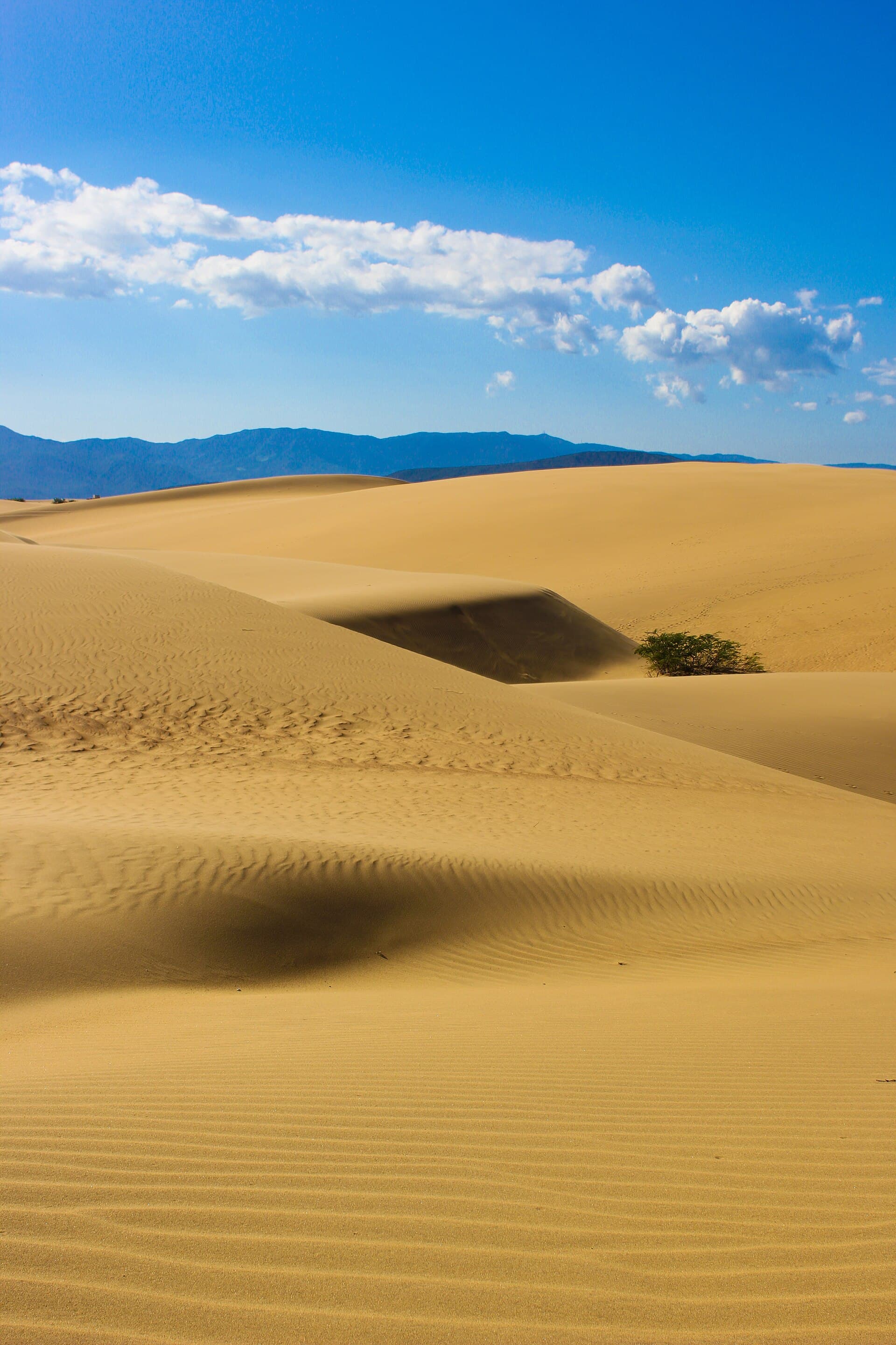 Dunas, ondas de arena y la sierra al fondo en los Médanos de Coro