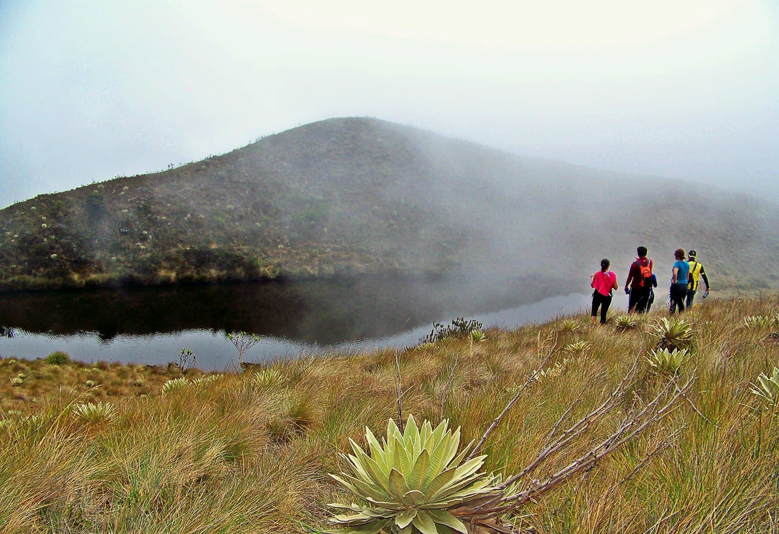 Laguna, frailejones y caminantes en el Páramo Las Coloradas, estado Táchira