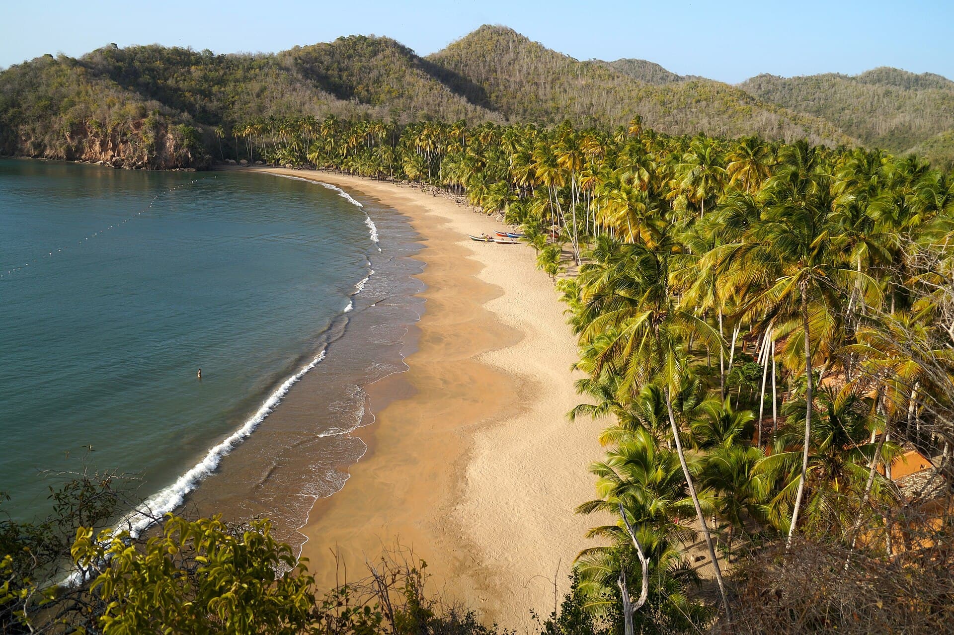 Playa Medina, con cocoteros hasta la orilla, en la península de Paria