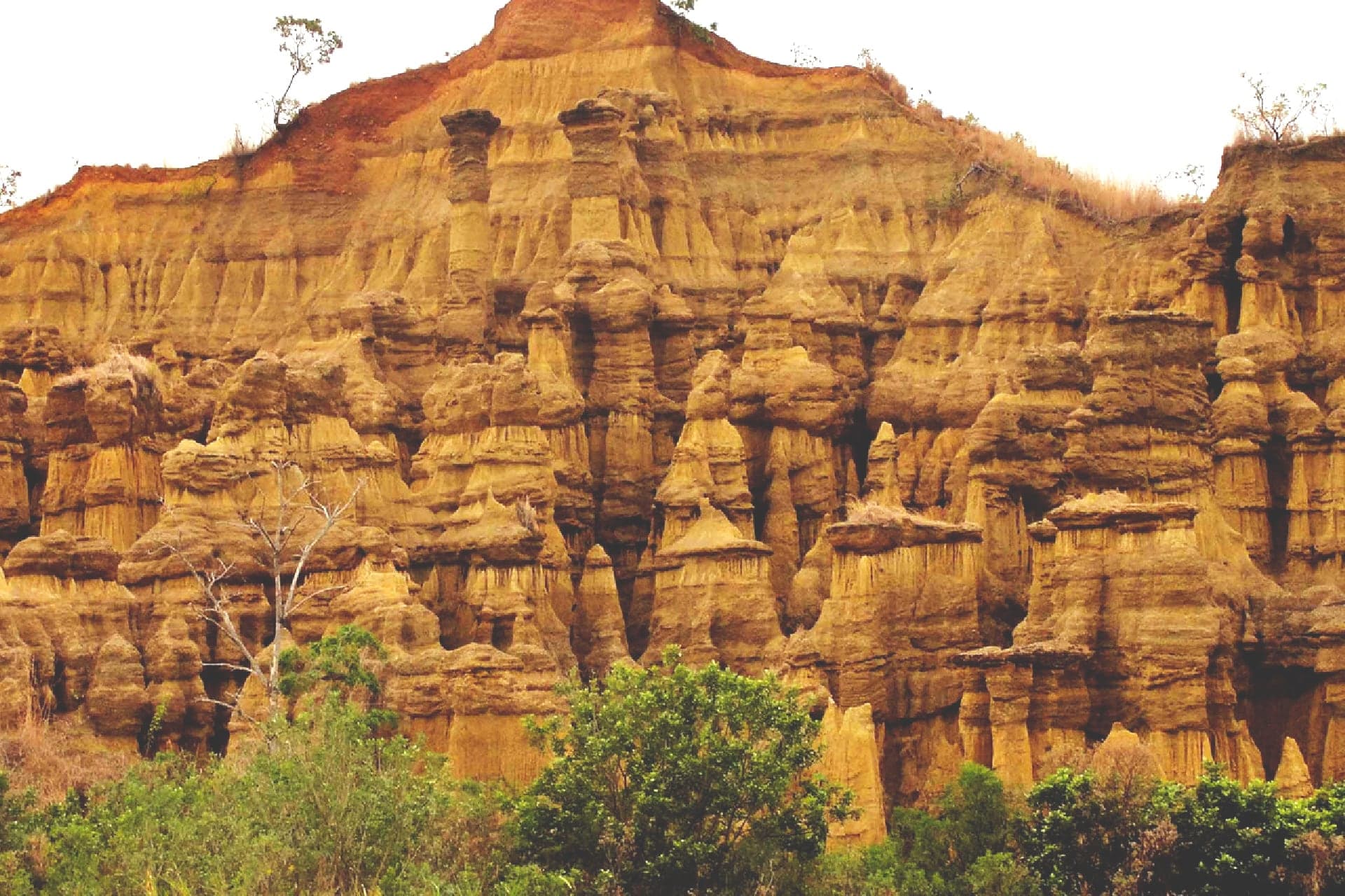 Los Frailes de Ospino: un paredón de arcilla ocre erosionado en pináculos, con vegetación verde al pie, estado Portuguesa