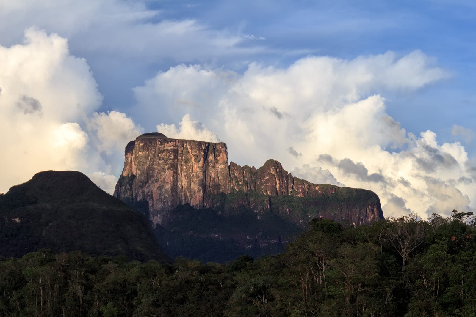 El cerro Autana, tepuy del estado Amazonas, emergiendo sobre la selva