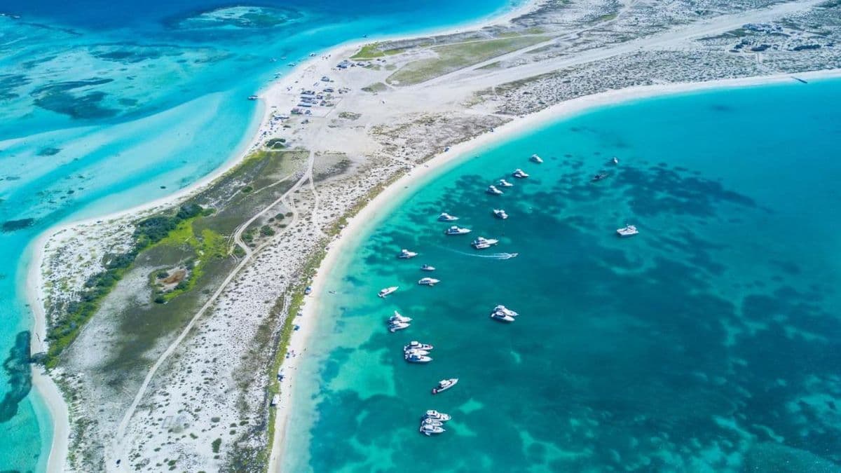 Aguas turquesas de la isla La Tortuga