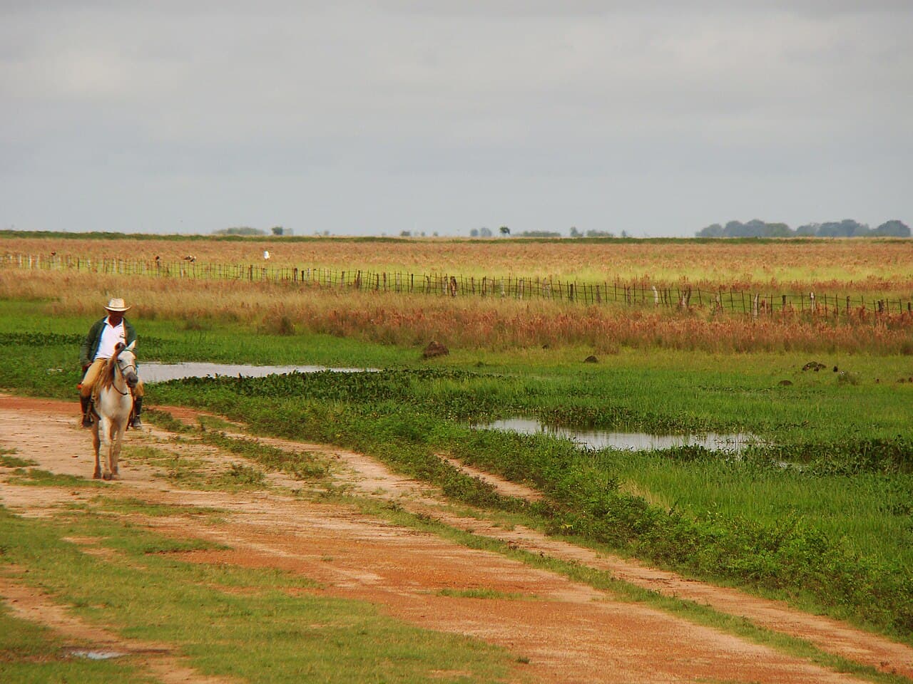 Apure