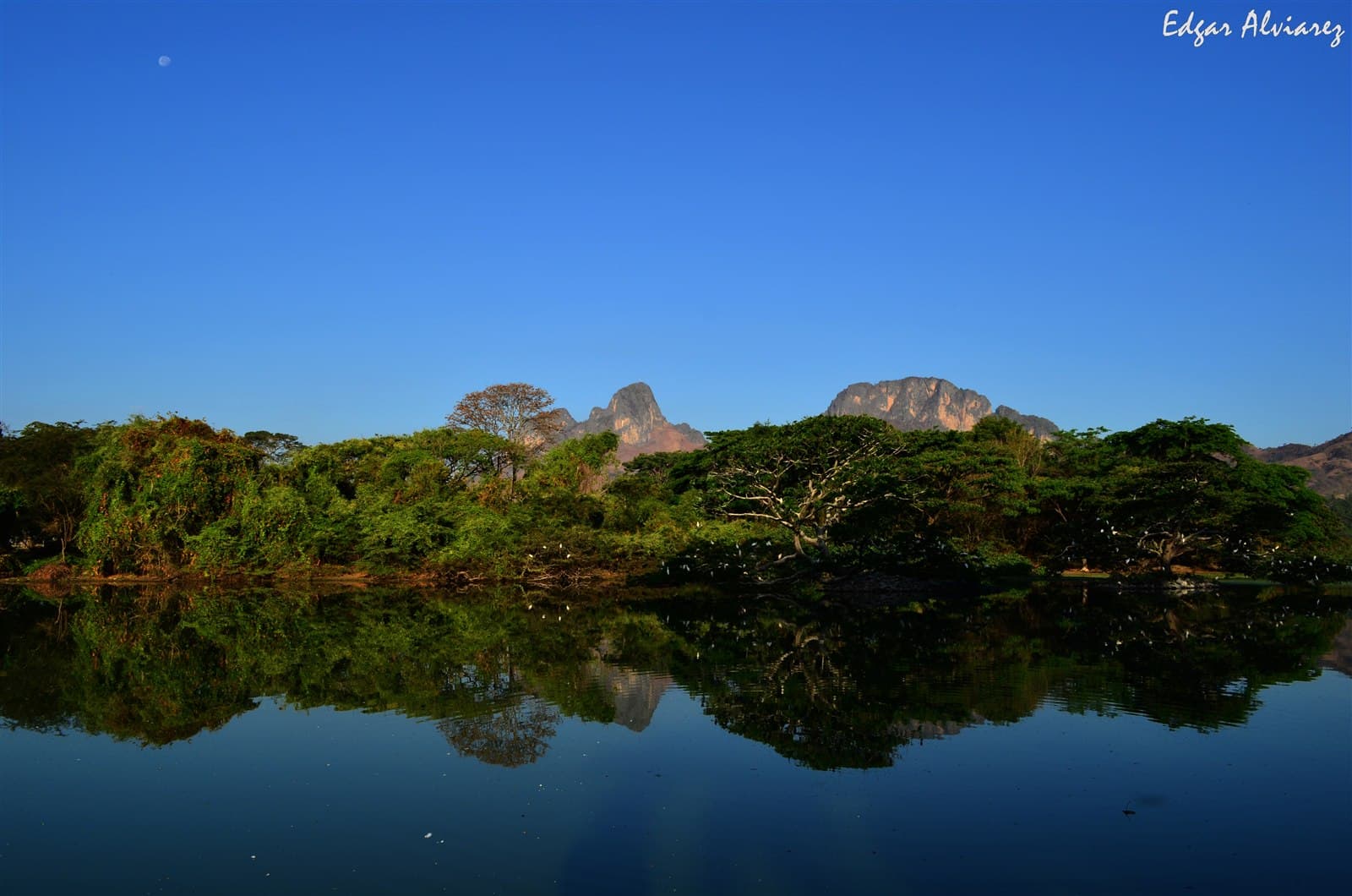 Guárico