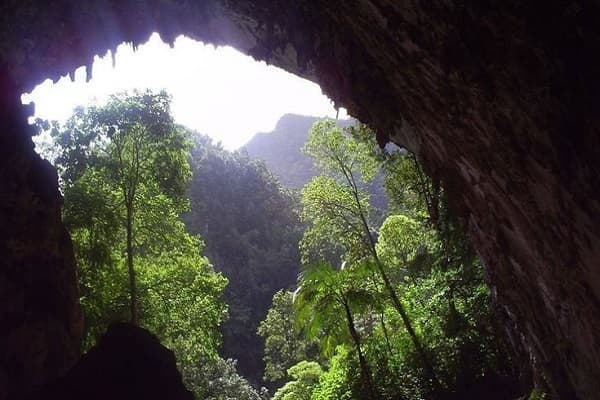 Monagas